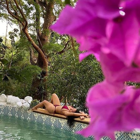 Etnia Lodge Minca Dış mekan fotoğraf