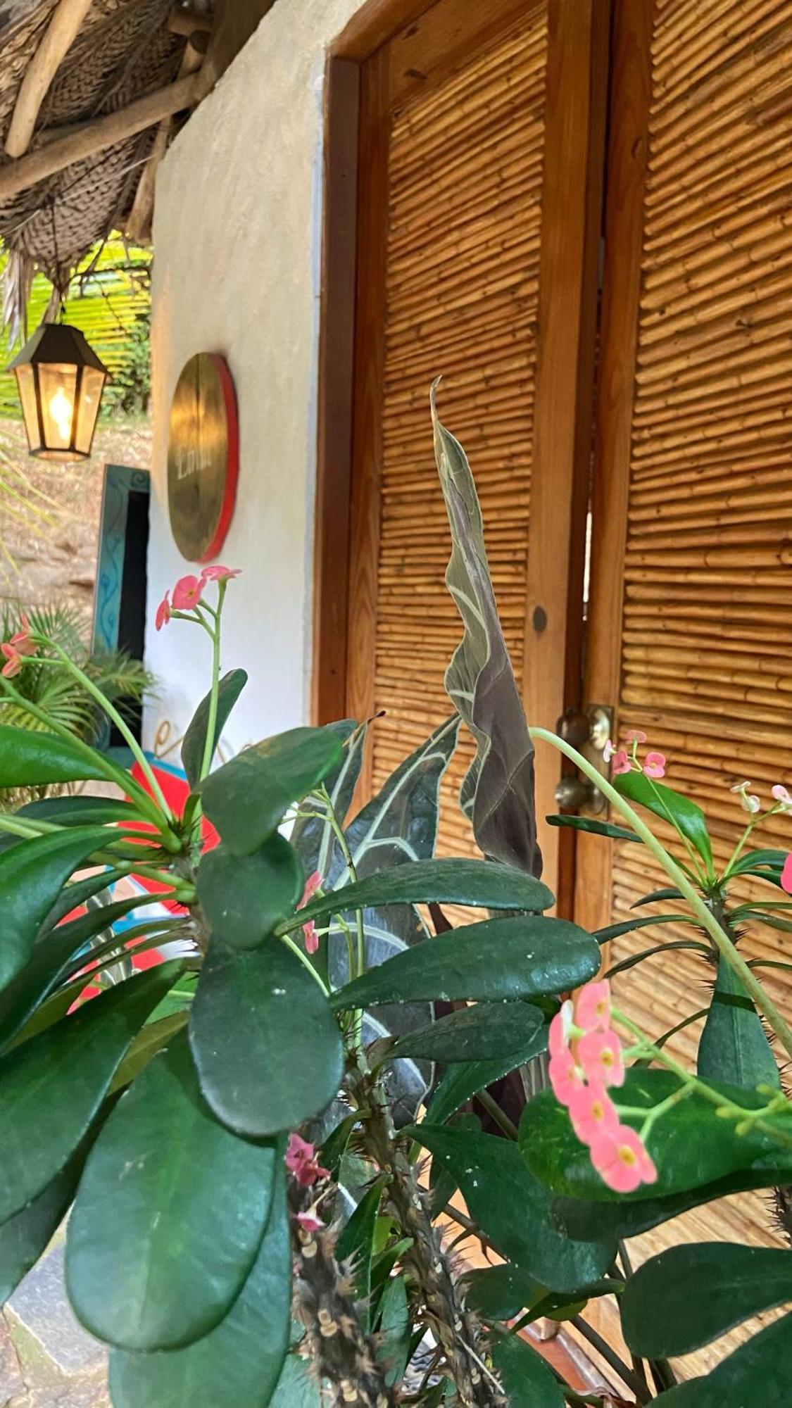 Etnia Lodge Minca Dış mekan fotoğraf
