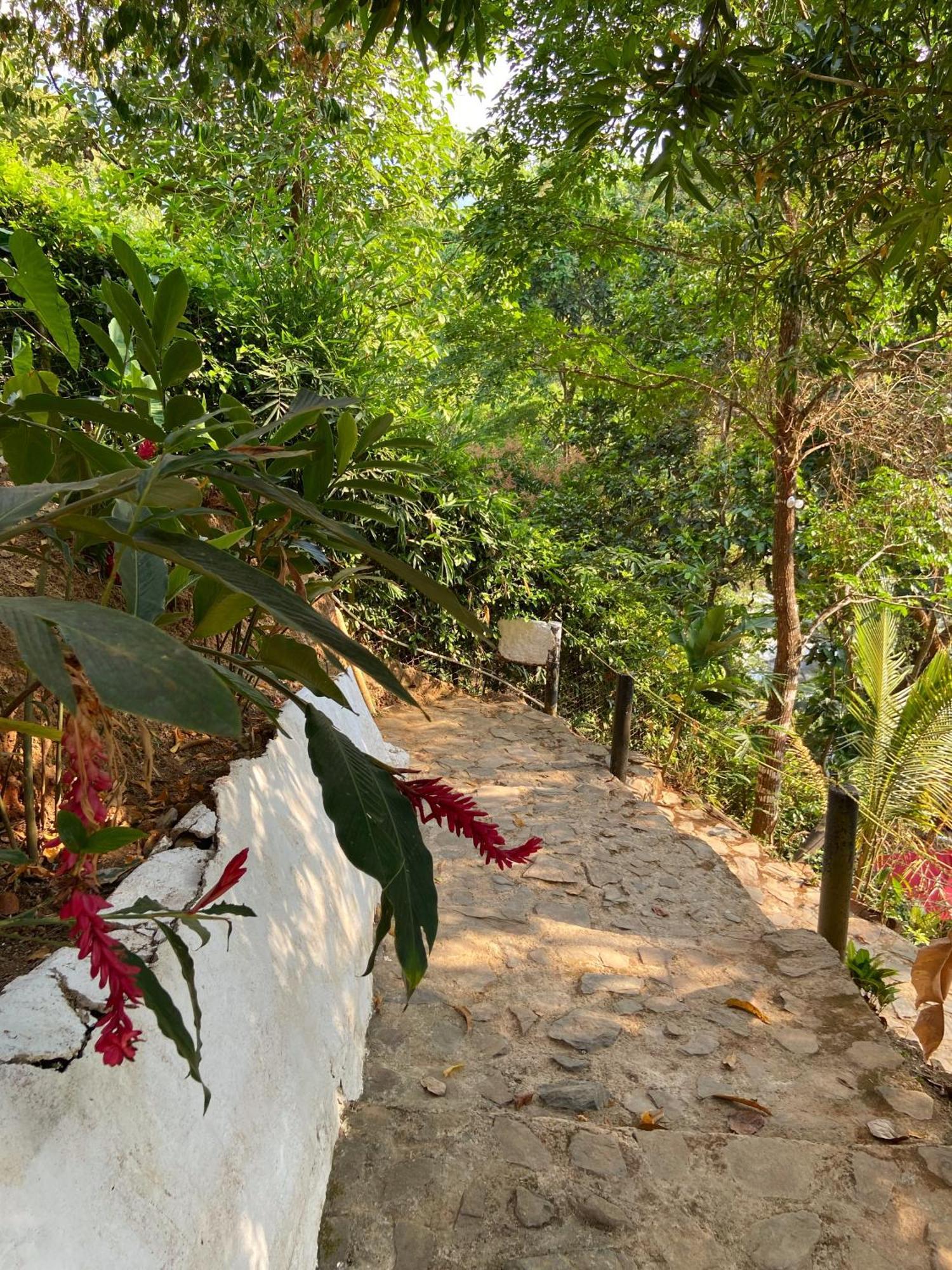 Etnia Lodge Minca Dış mekan fotoğraf